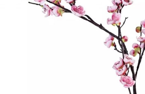 有本事的男人面相特徵 眼睛細長且眼神敏銳
