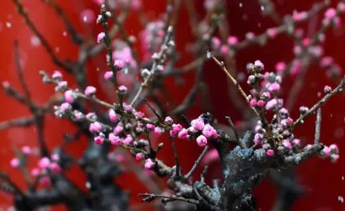爛八字都有偏印劫財 身弱用劫財有益處