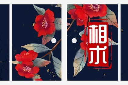 額頭上長痣代表什麼圖解 如何根據痣的位置分析