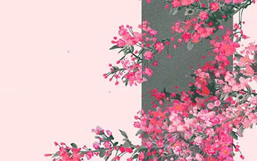 真的有效的旺桃花風水 成雙成對擺件旺桃花