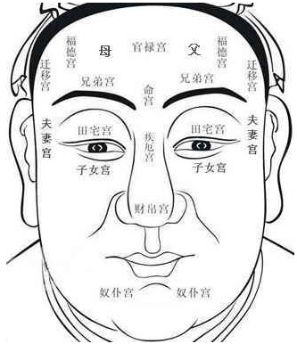 面相學中的十二宮的含義