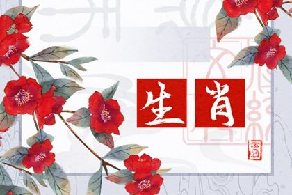 婚配相剋屬相表大全 生肖配對表最新