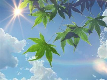 手上感情線上有十字紋代表什麼