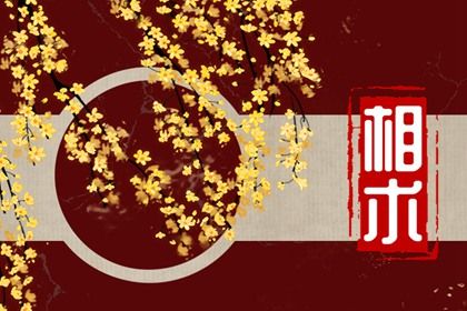 耳朵代表什麼 分析耳朵象徵的意義