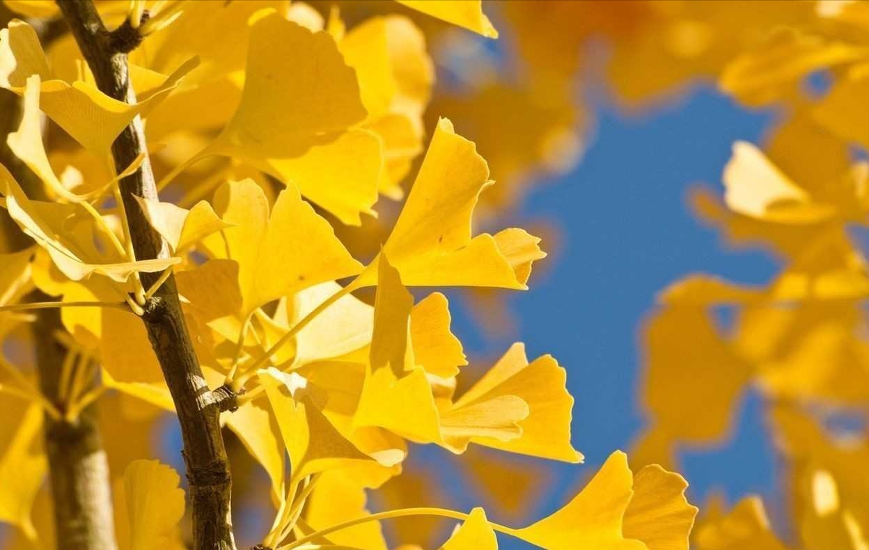 2019年2月11號出生的豬寶寶命好不好，是富貴命嗎