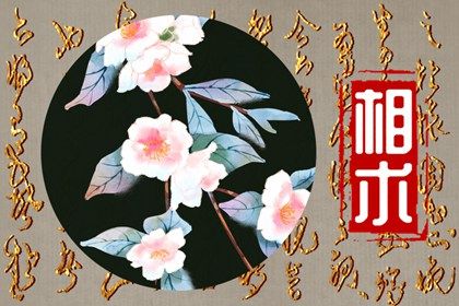 痣上長毛代表什麼意思 嘴唇上的痣長毛則能言善辯