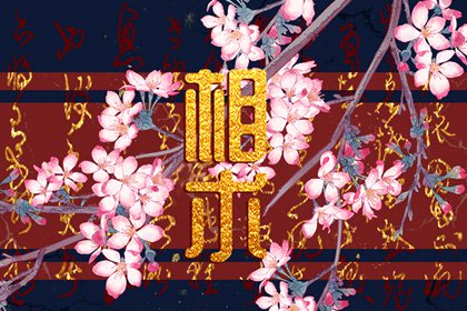 會越來越富的女人面相招財 事業有成晚年昌榮
