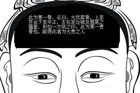 骨相圖解：伏犀骨