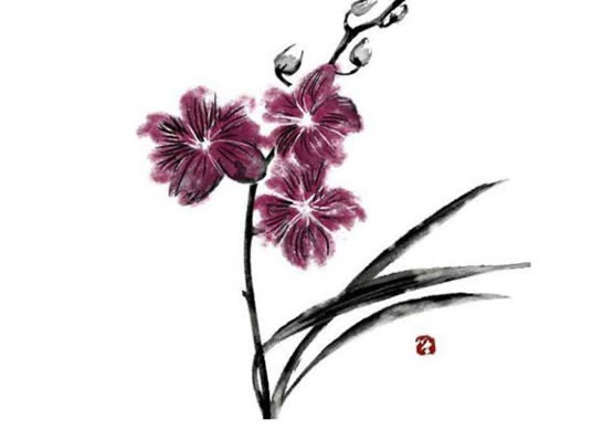 女命三個比肩不嫁貴夫 事業女強人旺夫旺己