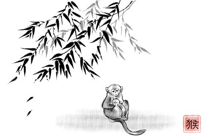 2004年屬猴男一生命運 屬猴的幾月出生最好