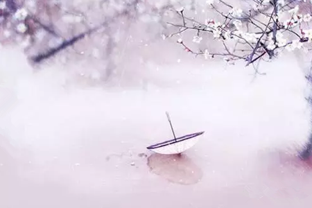 命盤中的12宮都有怎樣的寓意
