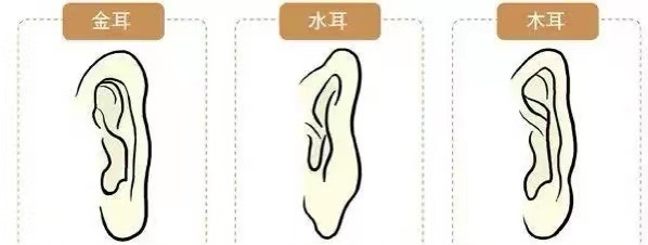 耳相16種圖解 各種耳朵形狀看富貴命運