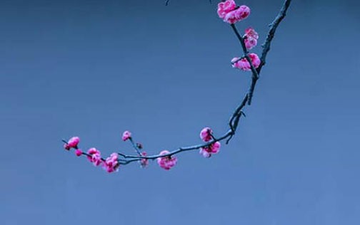 理財紋手相怎麼看在哪裡 女性嫁有財富之丈夫