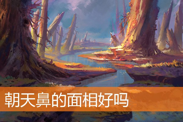 朝天鼻的面相好嗎