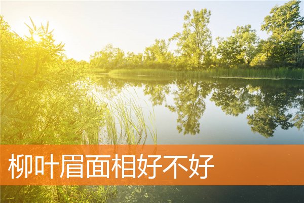 柳葉眉面相好不好