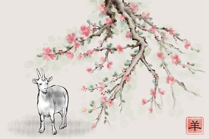 91年屬羊必二婚 結婚比較早的話很有可能會二婚