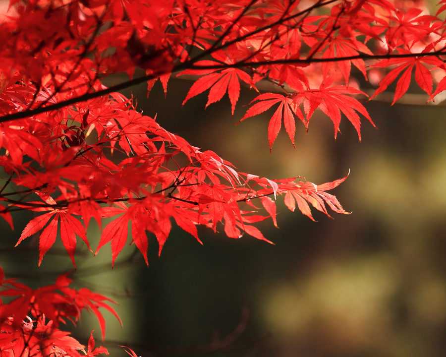 2019年2月7號出生的豬寶寶命好不好，是富貴命嗎