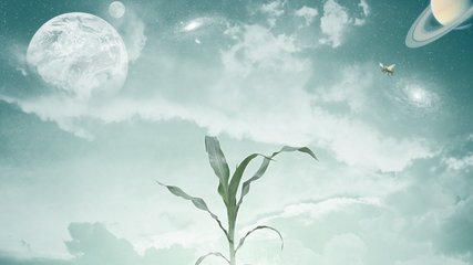 什麼樣鼻子的人家業興旺，什麼樣鼻子命運好