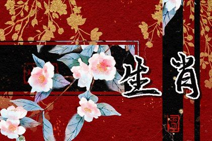 虎年生女寶寶好嗎 生虎男孩好還是女孩好