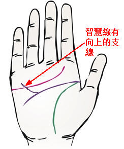 手相怎麼看財運?有什麼樣手相的人最招財
