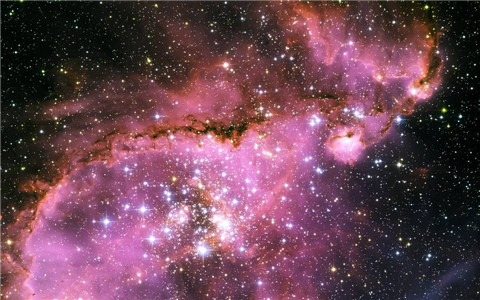 紫微斗數命宮，紫微斗數命宮之廉貞星解析