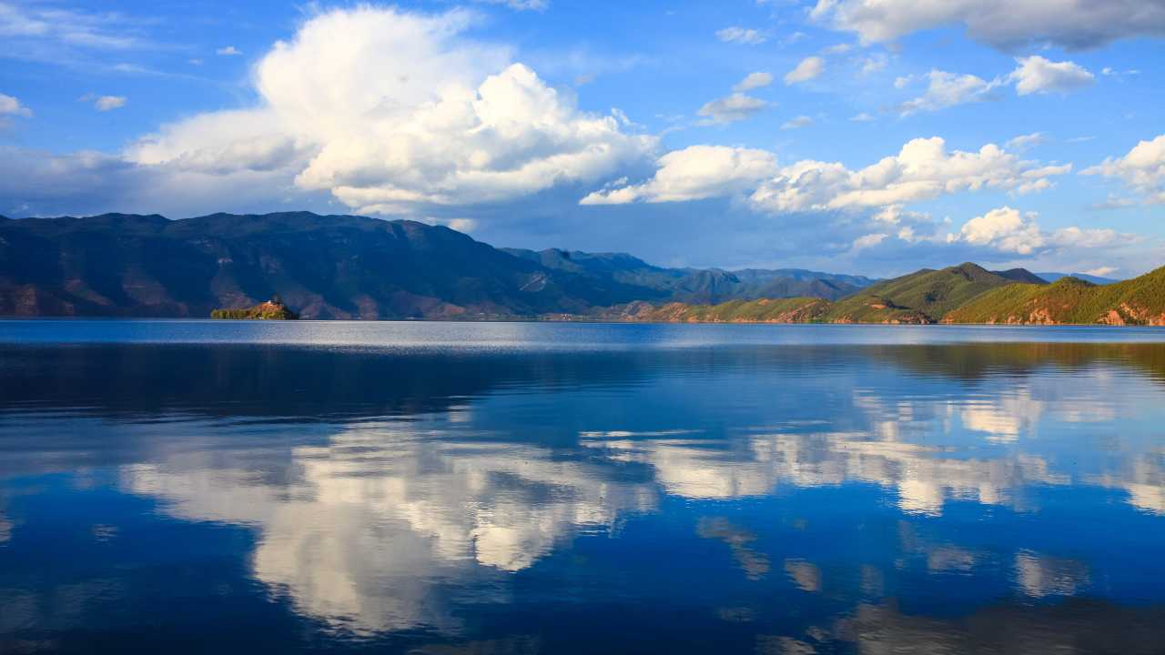 2019年2月20號出生的豬寶寶命好不好，是富貴命嗎