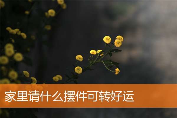 家裡請什麼擺件可轉好運
