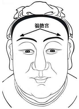 面相算命圖解：面相十二宮圖之福德宮