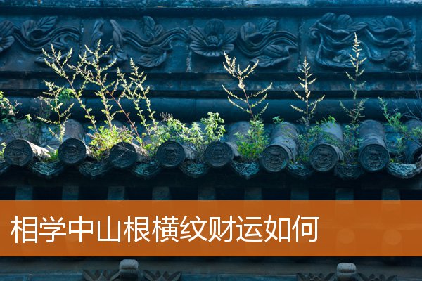 相學中山根橫紋財運如何