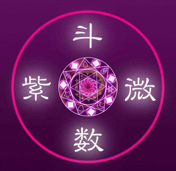 紫微斗數術語，紫微斗數名詞解釋