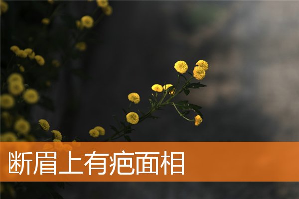 斷眉上有疤面相
