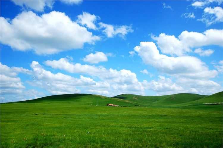 2019年3月1號出生的豬寶寶命好不好，是什麼性格