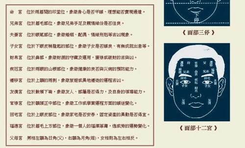 紫微斗數看面相