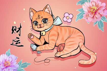 女命中年走偏財大運 分析偏財運是什麼