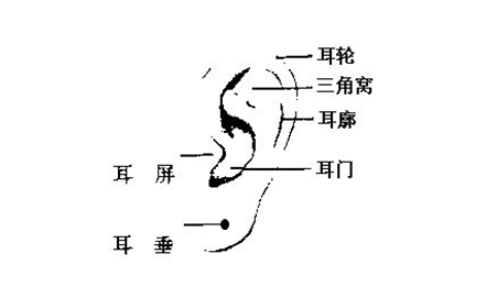 男人耳朵上長痣代表什麼 不同位置面相是怎樣的