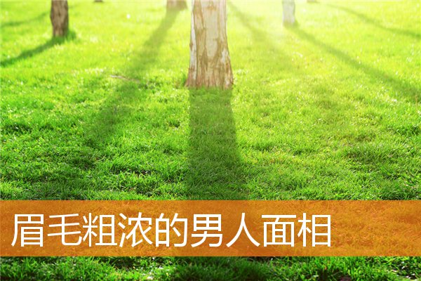 眉毛粗濃的男人面相