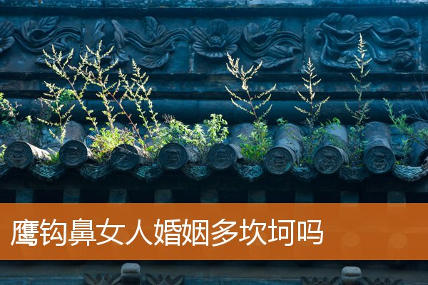 鷹鉤鼻女人婚姻多坎坷嗎