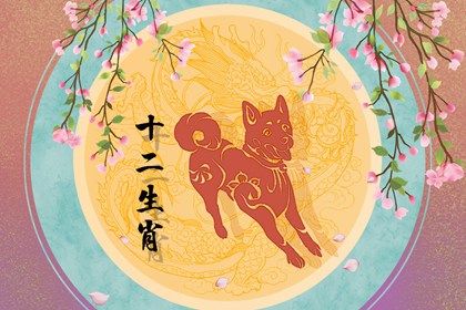 屬狗女第二次婚姻 會有二次婚姻嗎