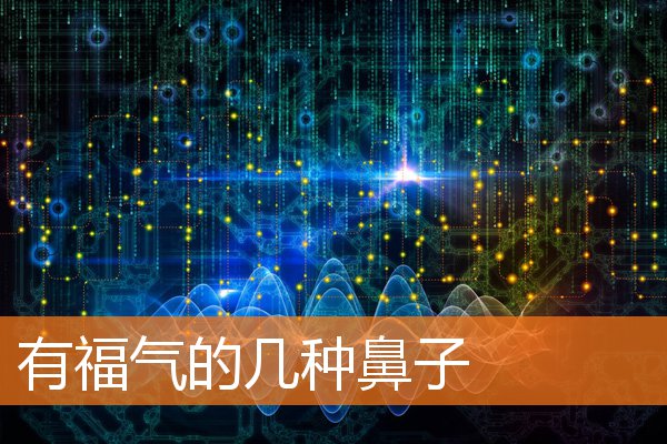有福氣的幾種鼻子