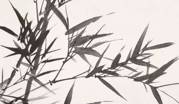 房前屋後栽什麼樹最好 利於健康寓意吉祥