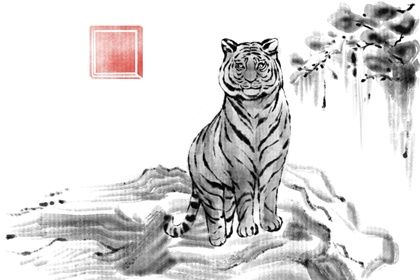 1986年屬虎人一生命運 有大把的升職機會