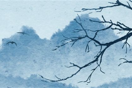 虎年寶寶什麼時辰出生好 發展順暢且一生衣食豐足