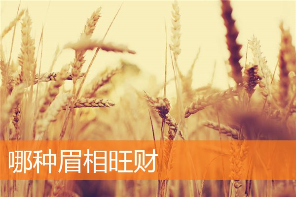 哪種眉相旺財