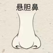 14種鼻型圖解 最全鼻子看相解讀命運