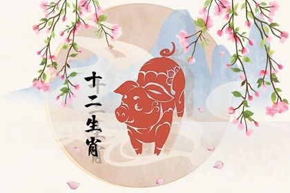 屬豬幾點出生大富大貴 屬豬人不同出生的時辰命運分析