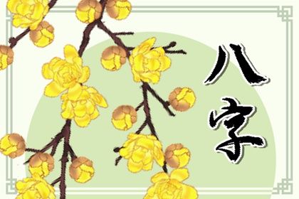 屬猴卯時出生的男孩命運 豐衣足食運氣佳