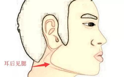 耳後見腮是什麼意思，耳後見腮的女人面相解讀！