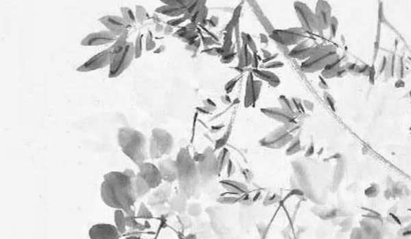 1967丁未年屬羊五行屬什麼缺什麼,天河水命和什麼命相剋