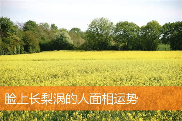 臉上長梨渦的人面相運勢