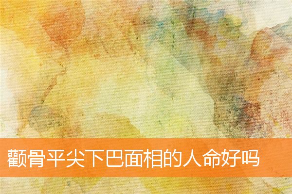 顴骨平尖下巴面相的人命好嗎